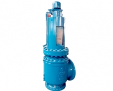 Twdb bellows spring safety valve